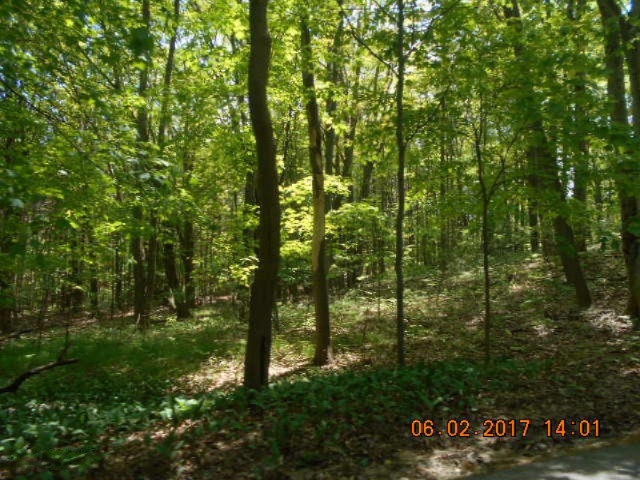 Weimer Road Ludington, MI 49431 - Photo 12 of 20 011