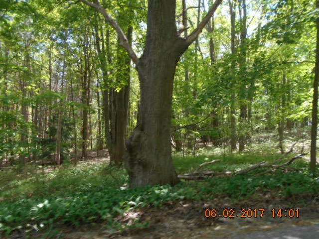 Weimer Road Ludington, MI 49431 - Photo 13 of 20 012