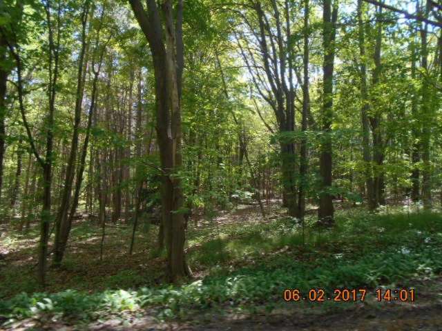 Weimer Road Ludington, MI 49431 - Photo 14 of 20 013