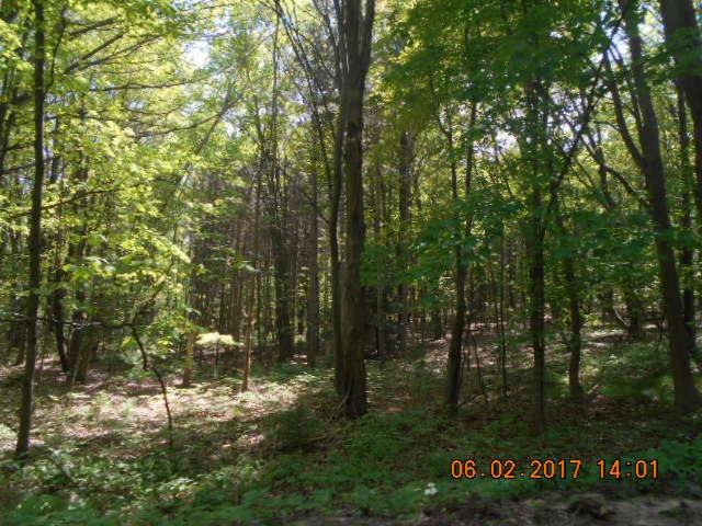 Weimer Road Ludington, MI 49431 - Photo 15 of 20 014