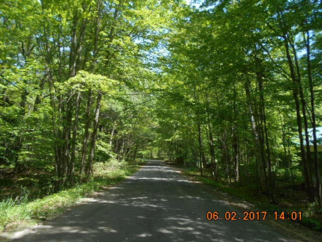 Weimer Road Ludington, MI 49431 - Photo 16 of 20 015