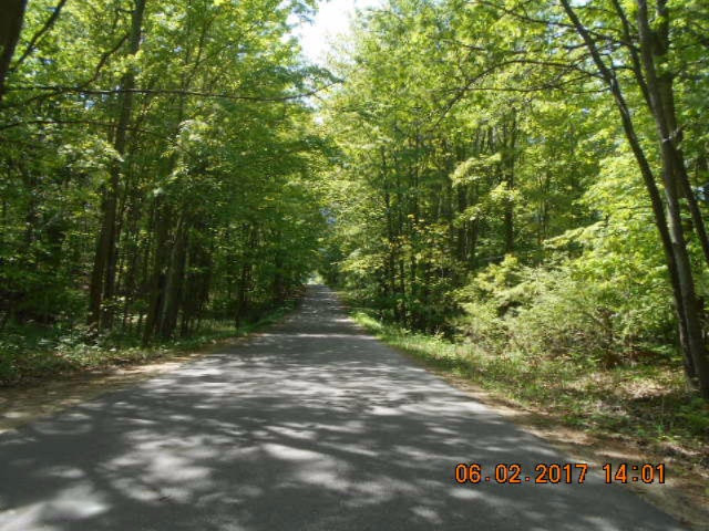 Weimer Road Ludington, MI 49431 - Photo 17 of 20 016