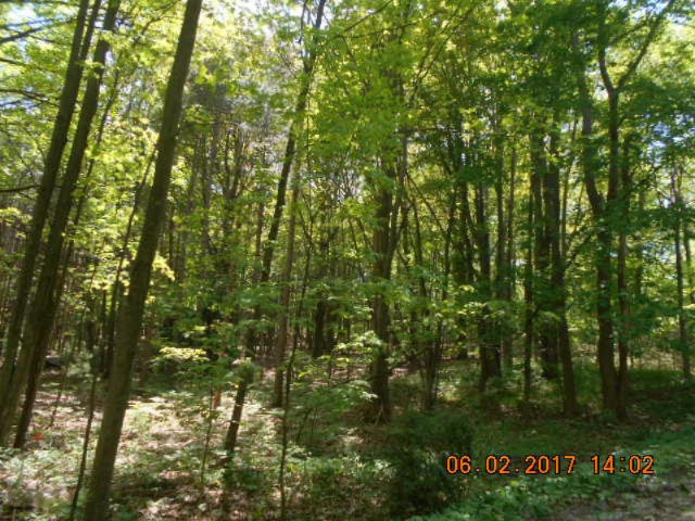 Weimer Road Ludington, MI 49431 - Photo 18 of 20 017