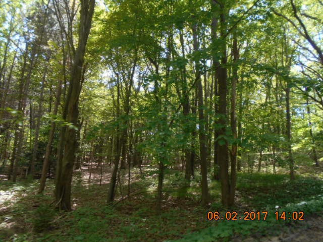 Weimer Road Ludington, MI 49431 - Photo 19 of 20 018