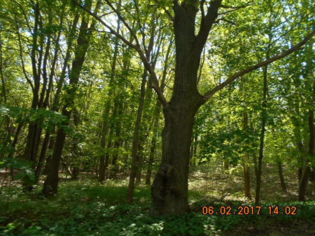 Weimer Road Ludington, MI 49431 - Photo 20 of 20 019