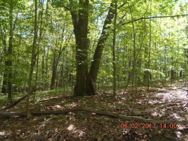 Weimer Road Ludington, MI 49431 - Photo 10 of 20 009