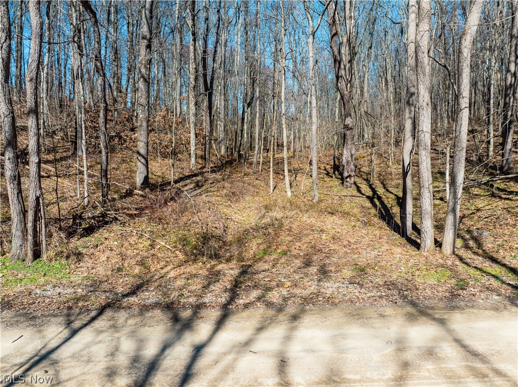 Burrier Road Jewett, OH 43986 - Photo 35 of 37
