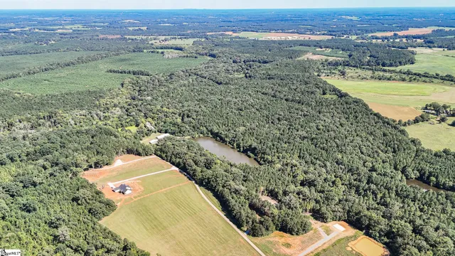$1,250,000 | 44 Hobby Lane, Kinards, SC 29355