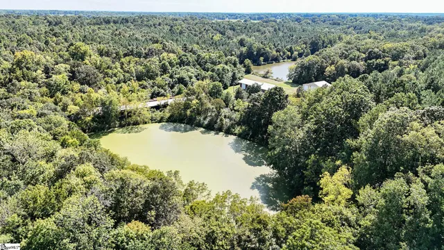 $1,250,000 | 44 Hobby Lane, Kinards, SC 29355