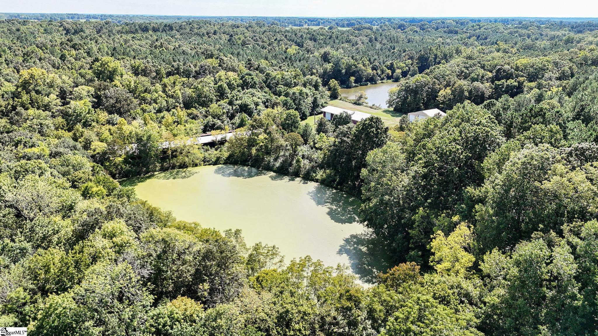 44 Hobby Lane Kinards, SC 29355 - Photo 29 of 42