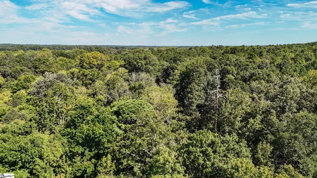 $1,250,000 | 44 Hobby Lane, Kinards, SC 29355