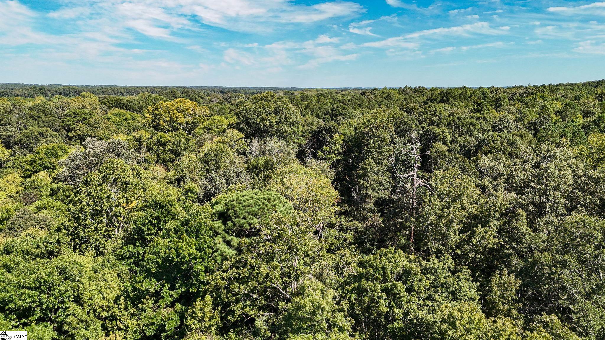 44 Hobby Lane Kinards, SC 29355 - Photo 31 of 42