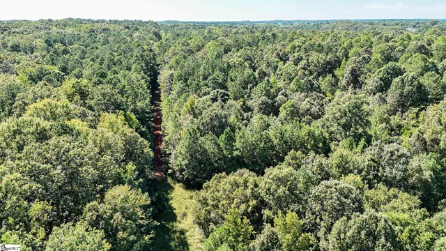 $1,250,000 | 44 Hobby Lane, Kinards, SC 29355