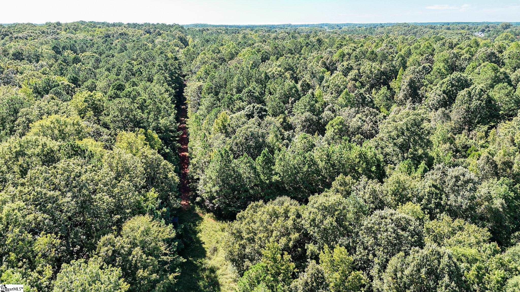 44 Hobby Lane Kinards, SC 29355 - Photo 32 of 42