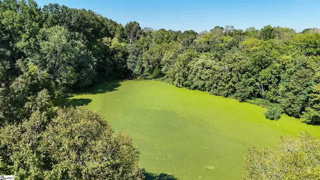 $1,250,000 | 44 Hobby Lane, Kinards, SC 29355