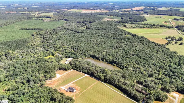 $1,250,000 | 44 Hobby Lane, Kinards, SC 29355