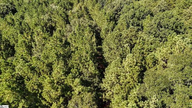 $1,250,000 | 44 Hobby Lane, Kinards, SC 29355