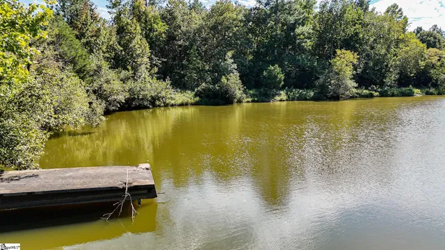 $1,250,000 | 44 Hobby Lane, Kinards, SC 29355