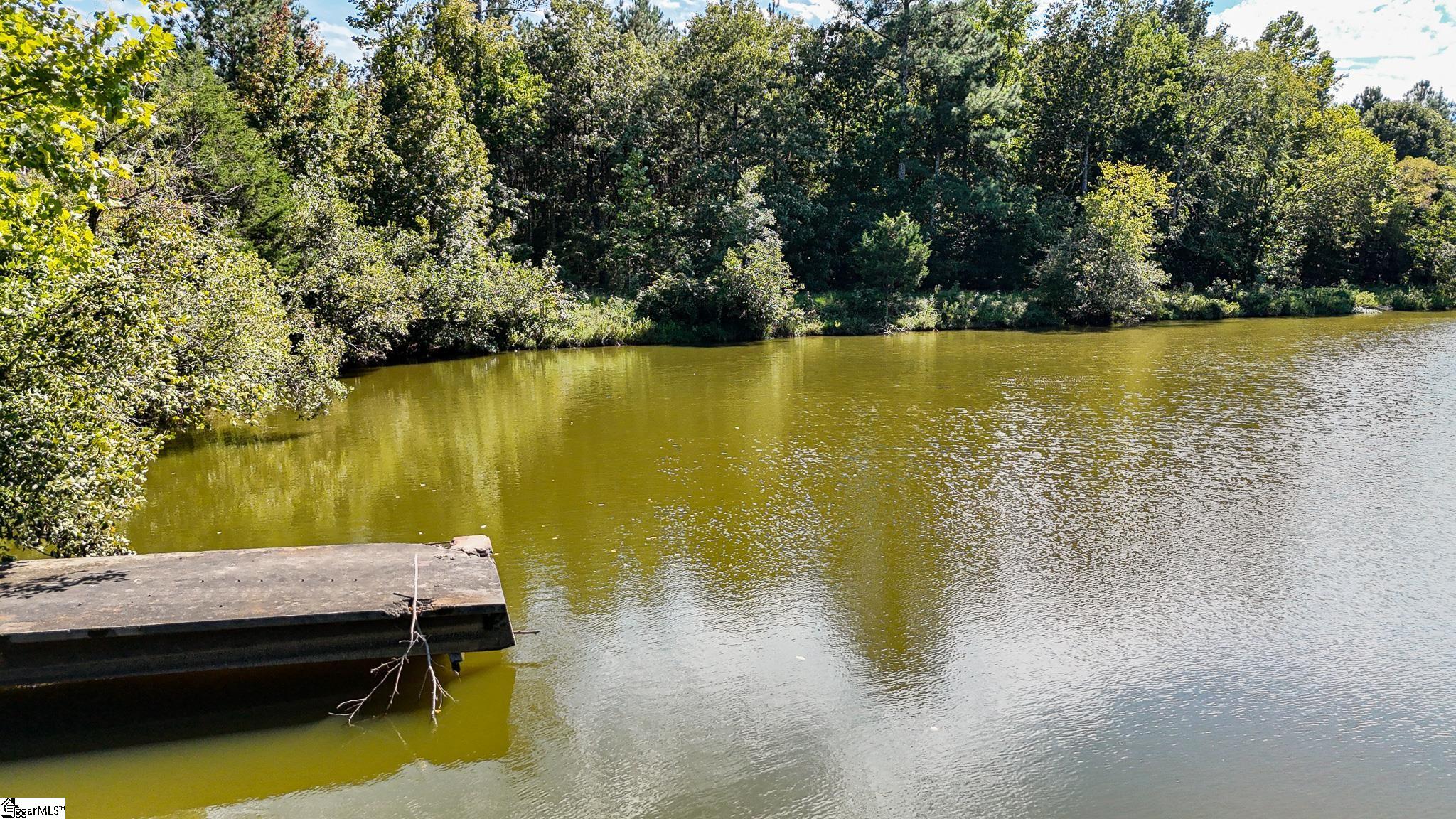 44 Hobby Lane Kinards, SC 29355 - Photo 36 of 42