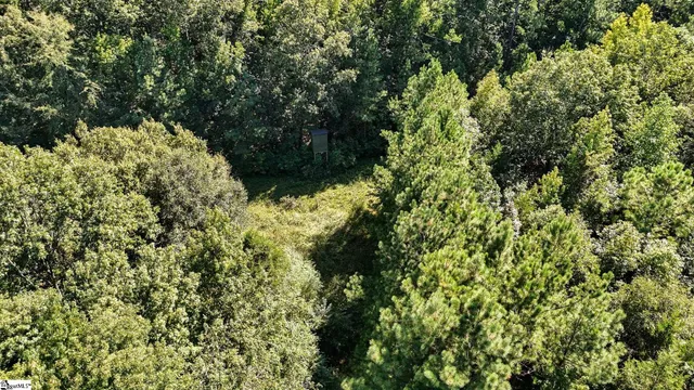 $1,250,000 | 44 Hobby Lane, Kinards, SC 29355