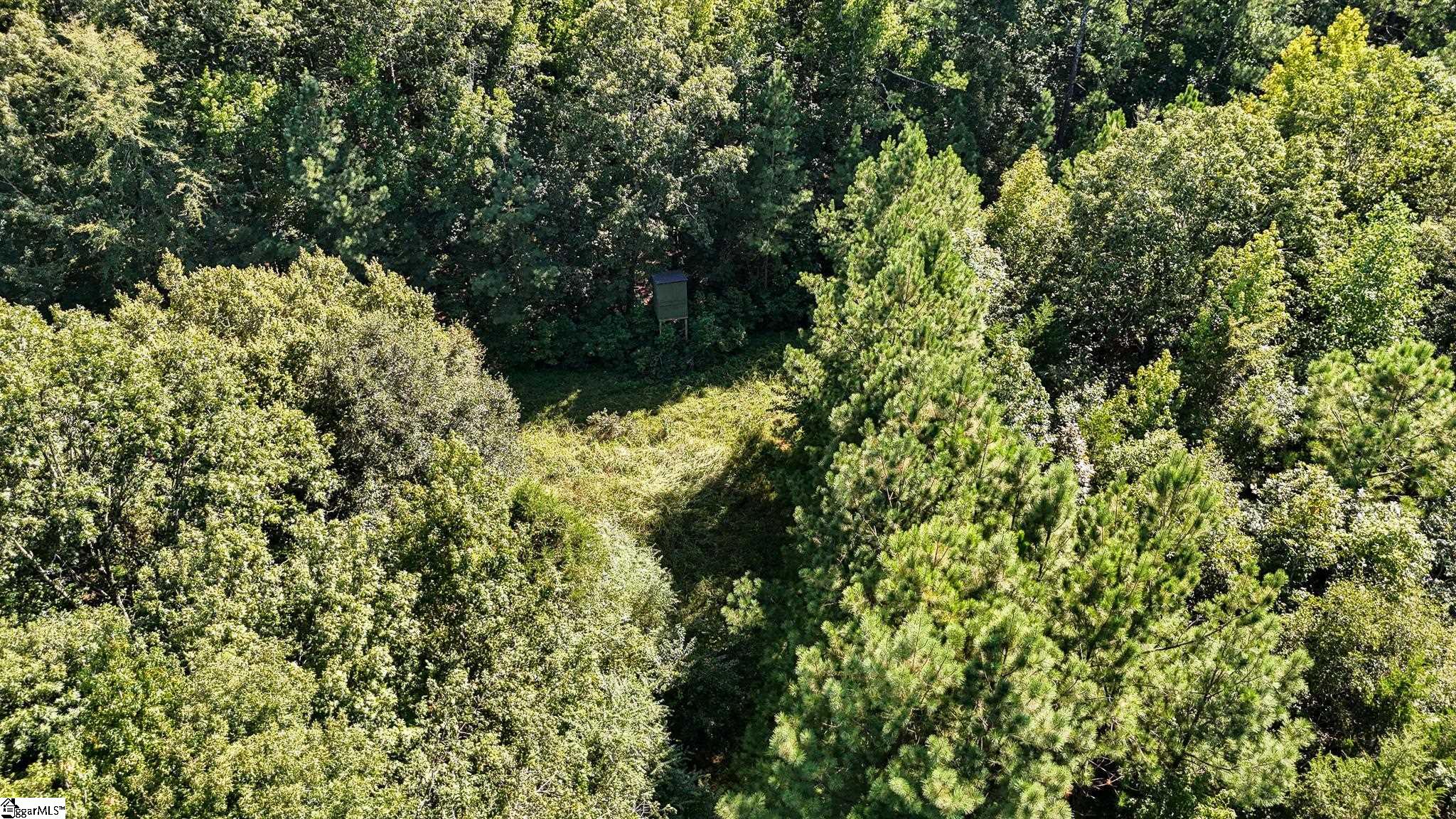 44 Hobby Lane Kinards, SC 29355 - Photo 37 of 42