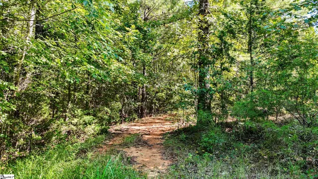 $1,250,000 | 44 Hobby Lane, Kinards, SC 29355