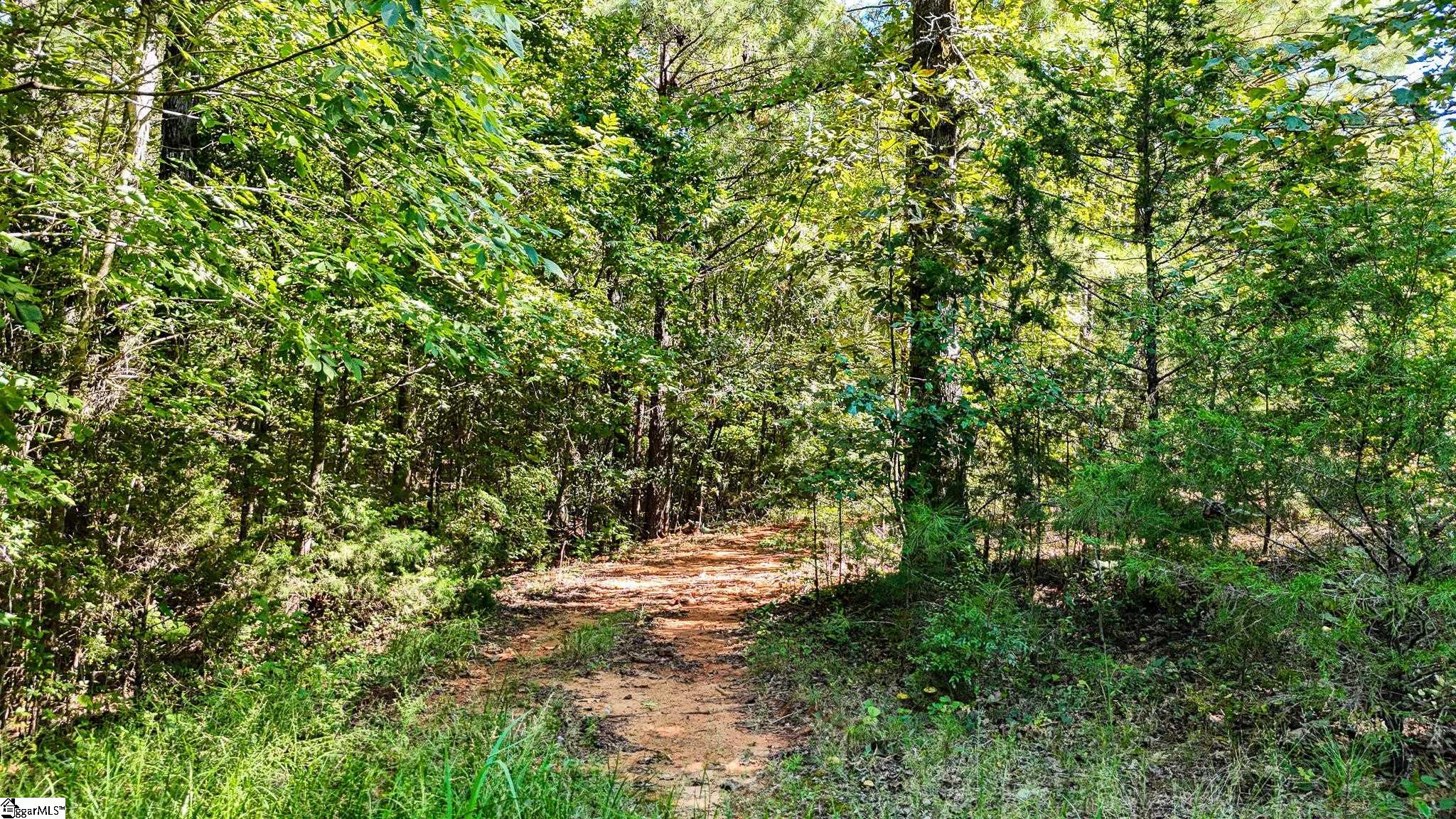 44 Hobby Lane Kinards, SC 29355 - Photo 38 of 42