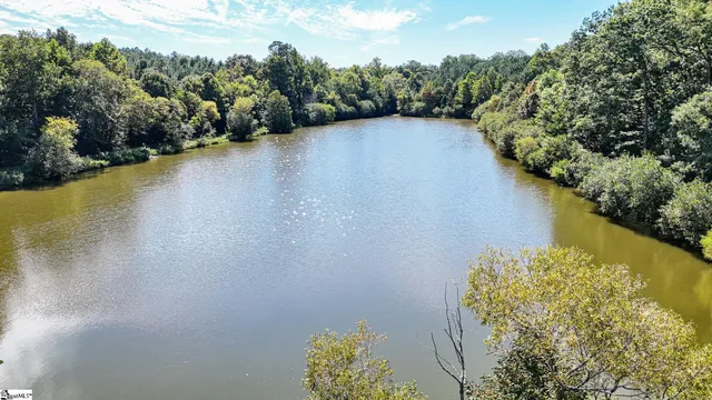 $1,250,000 | 44 Hobby Lane, Kinards, SC 29355