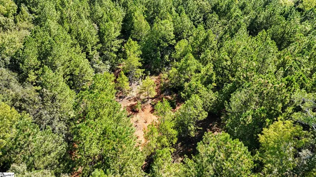 $1,250,000 | 44 Hobby Lane, Kinards, SC 29355