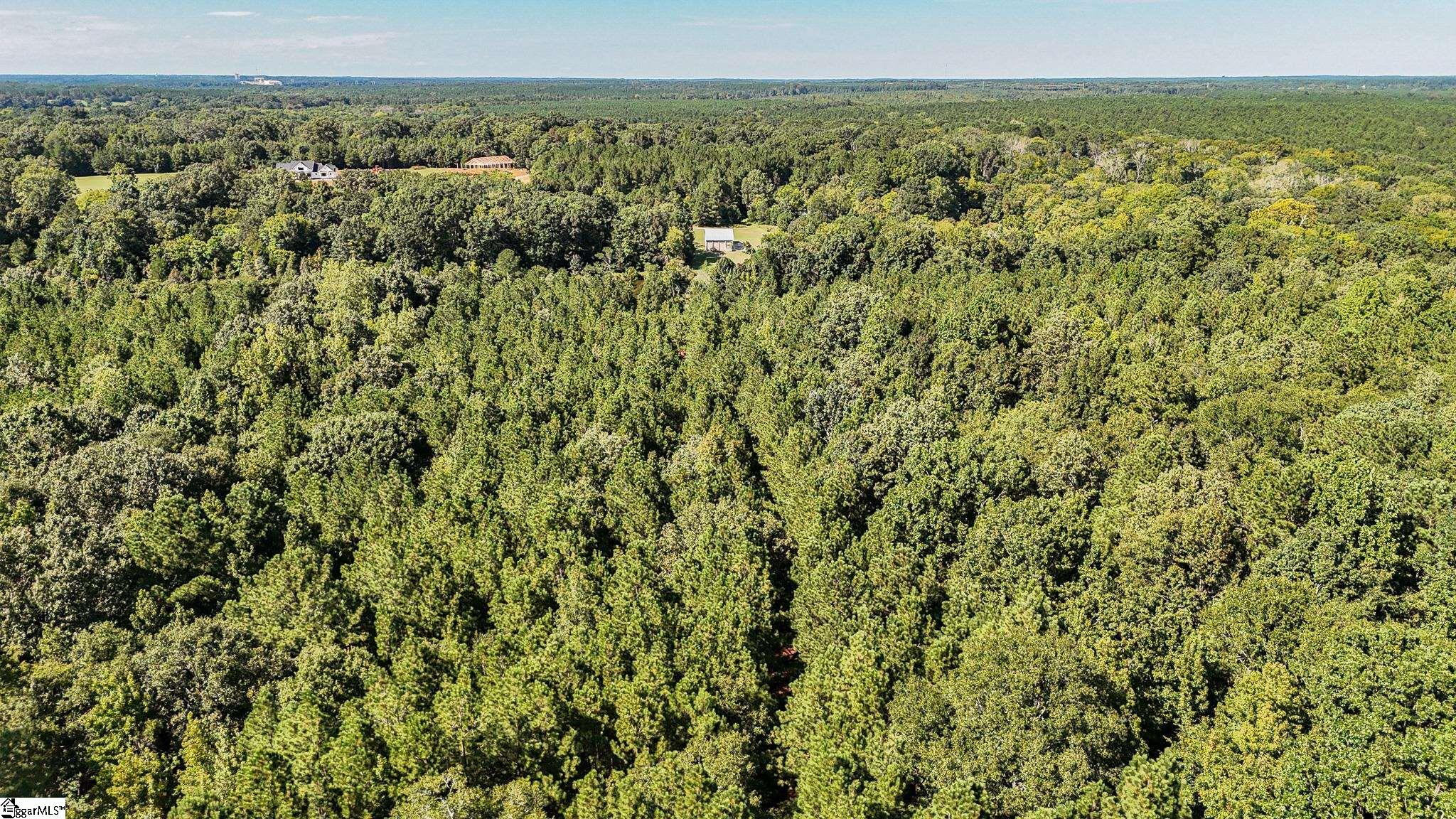 44 Hobby Lane Kinards, SC 29355 - Photo 41 of 42