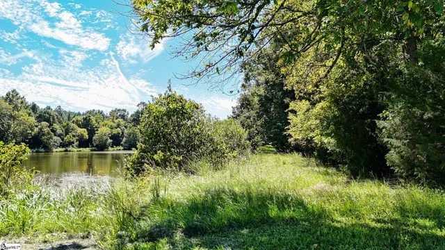 $1,250,000 | 44 Hobby Lane, Kinards, SC 29355