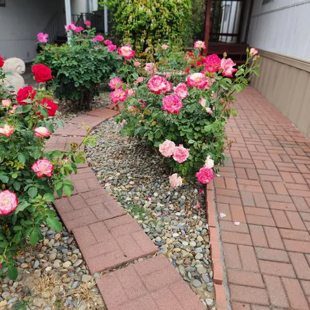 an outdoor space with patio