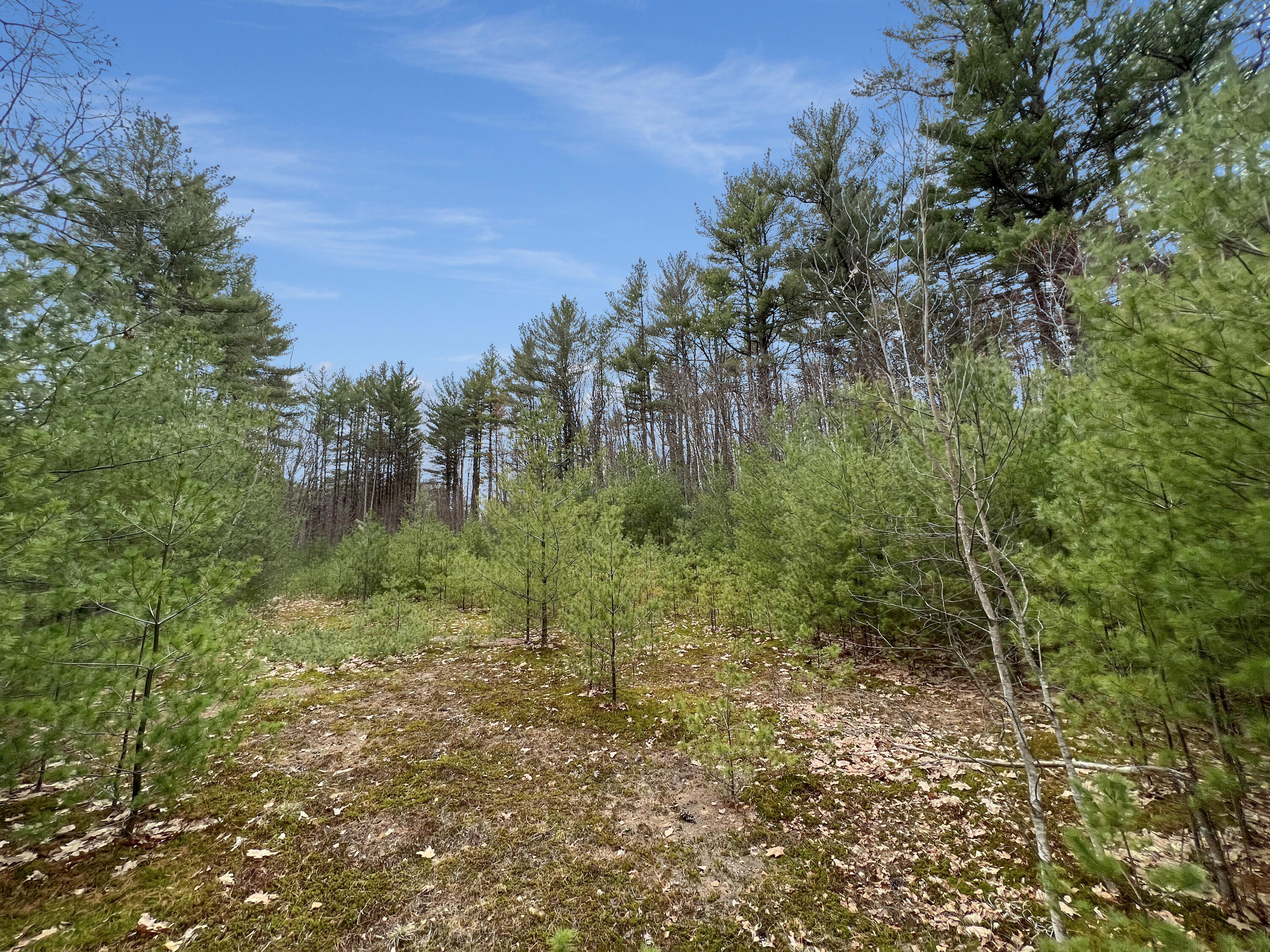 Map73-lot7a Pleasant Pond Road Turner, ME 04282 - Photo 9 of 14 IMG_0797