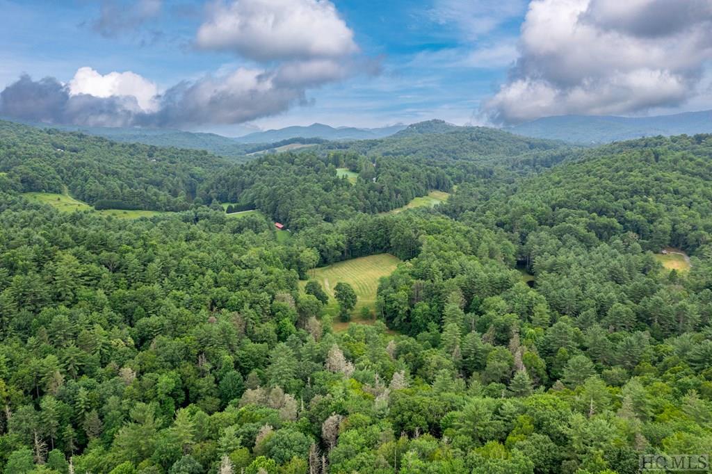 Tbd Laurel Knob Road Cashiers, NC 28717 - Photo 30 of 37 Gallery Image 30