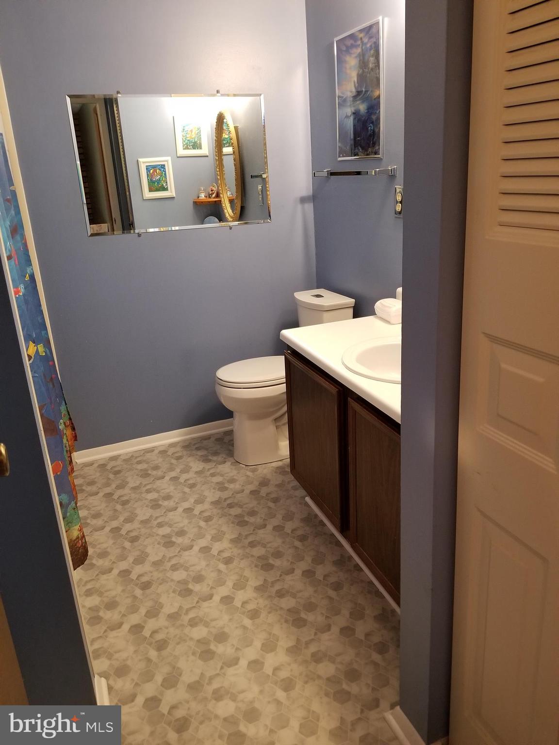 1774 Springfield Lane Frederick, MD 21702 - Photo 10 of 18 Upstairs hall bathroom.