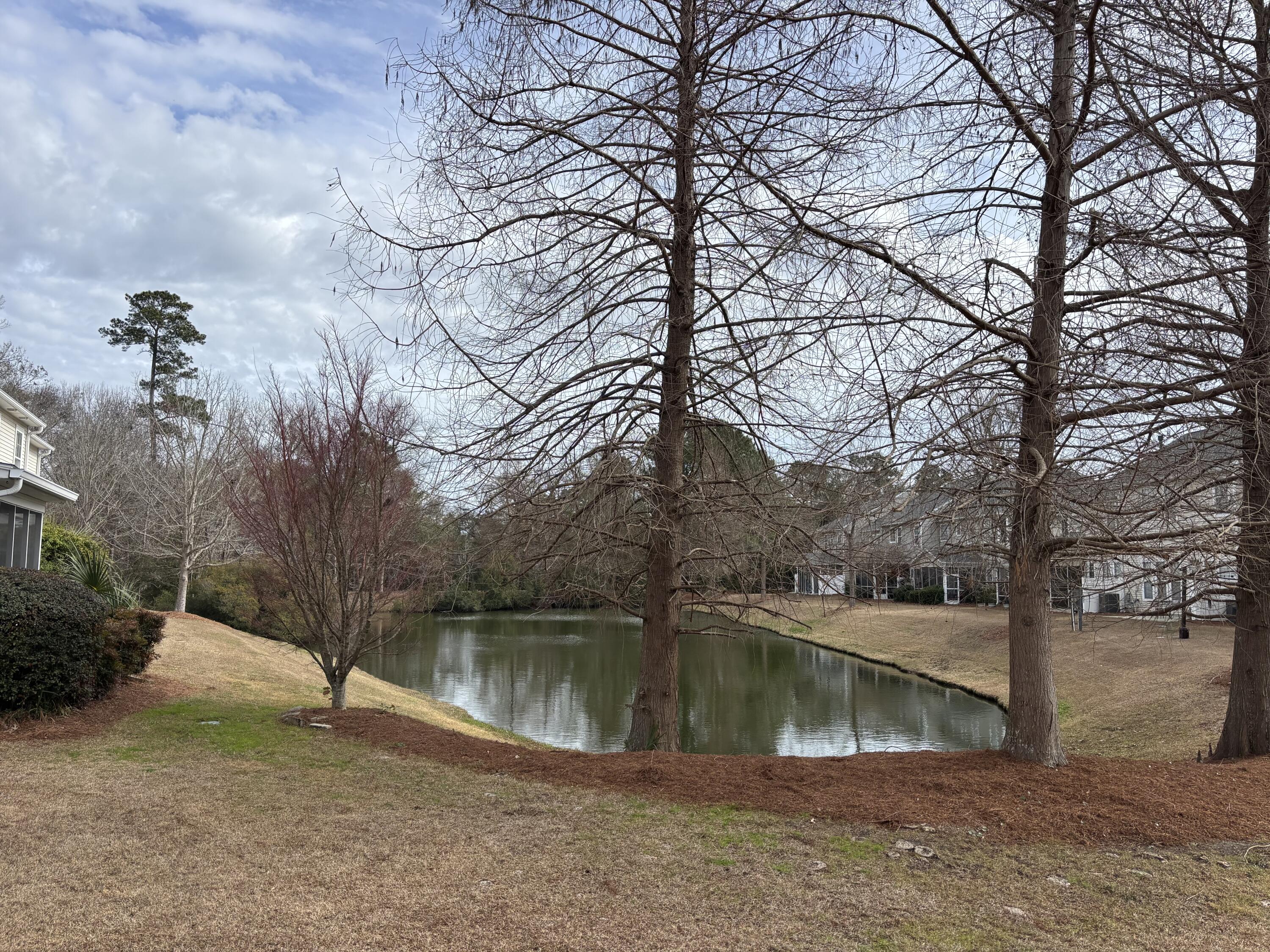 1609 Indaba Way Charleston, SC 29414 - Photo 50 of 54 IMG_3015