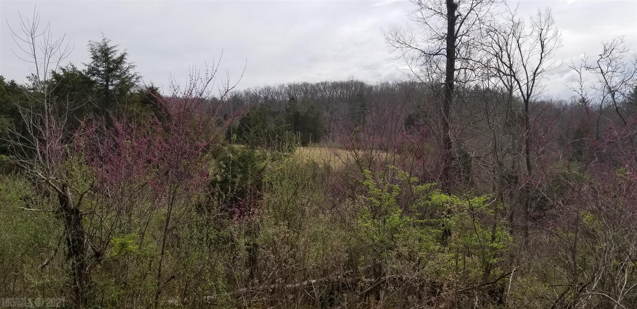 Lot 10 Hurston Road Pulaski, VA 24301 - Photo 8 of 15 Gallery Image 8