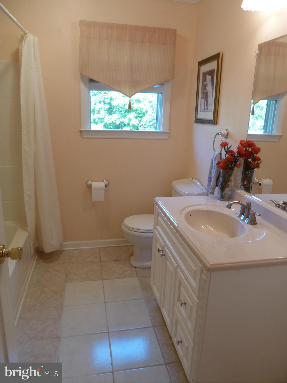 18510 Lappans Road Boonsboro, MD 21713 - Photo 13 of 24 Bath