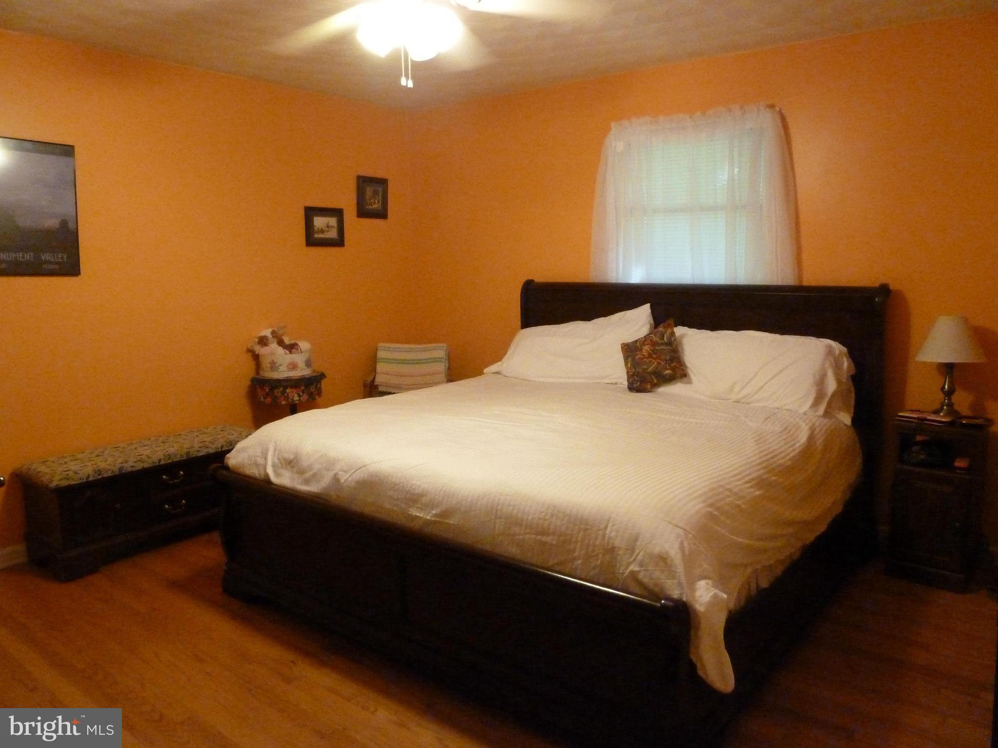 18510 Lappans Road Boonsboro, MD 21713 - Photo 14 of 24 Bedroom (Master)