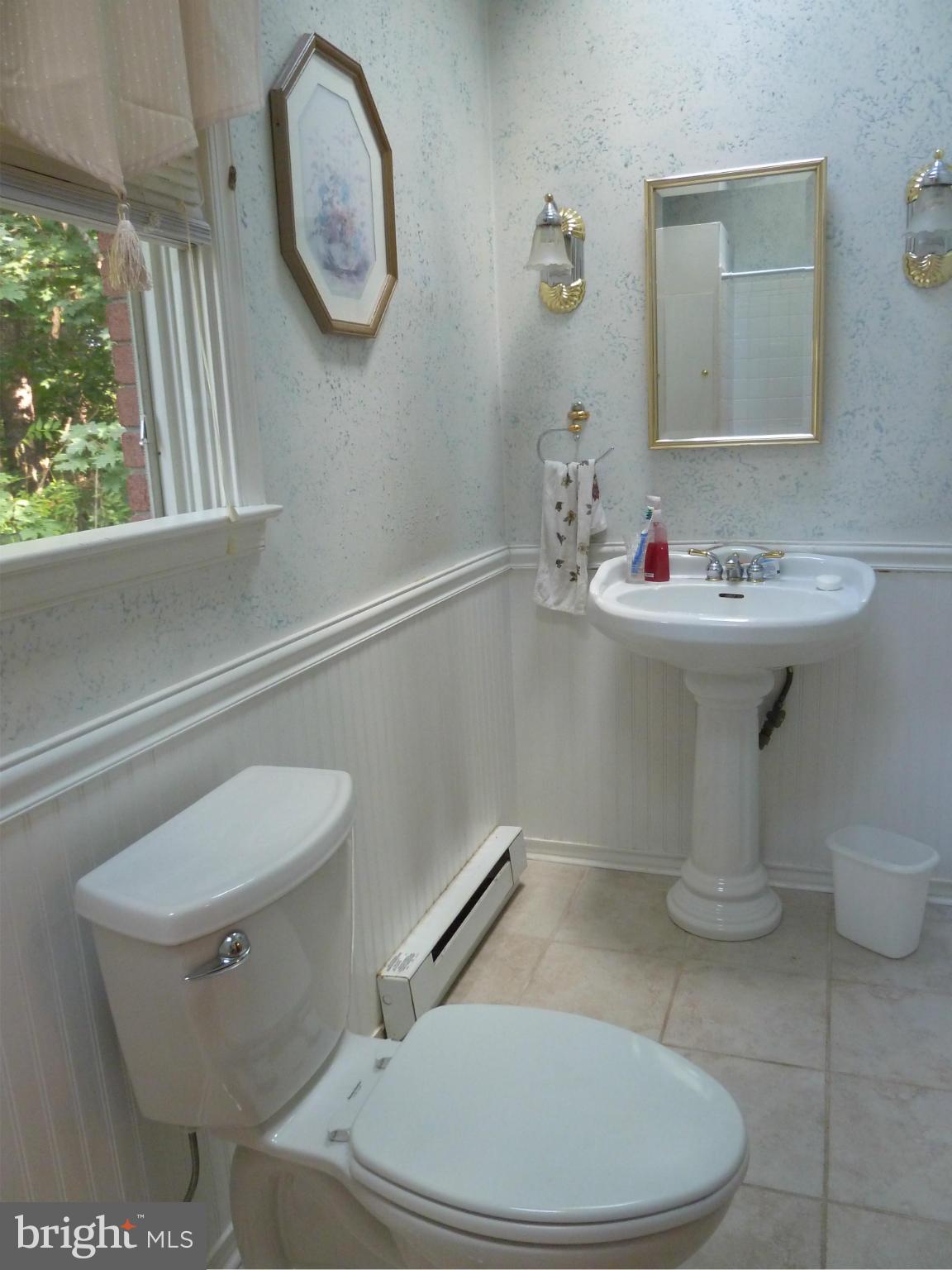 18510 Lappans Road Boonsboro, MD 21713 - Photo 16 of 24 Bath (Master)