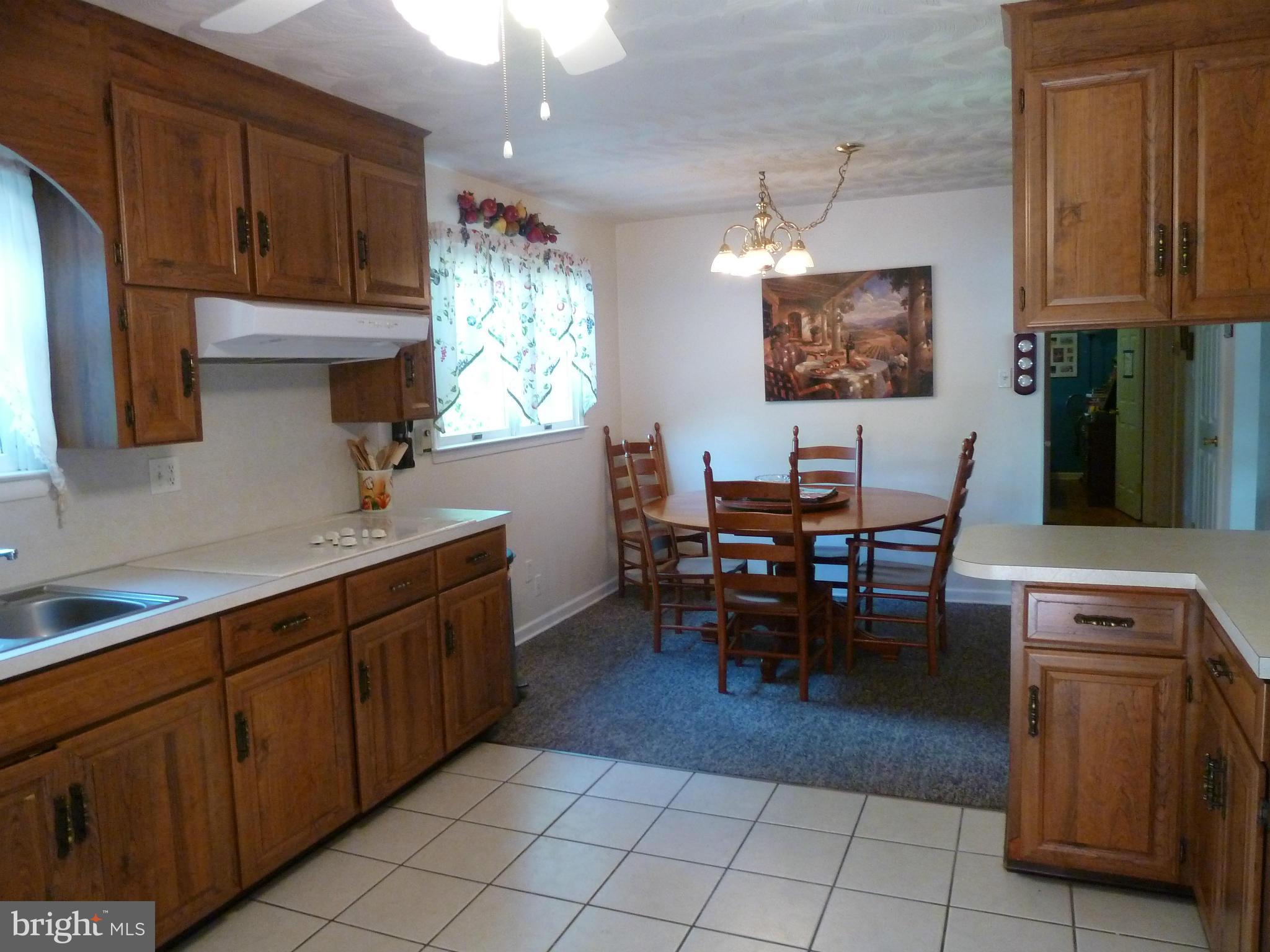18510 Lappans Road Boonsboro, MD 21713 - Photo 3 of 24 Kitchen