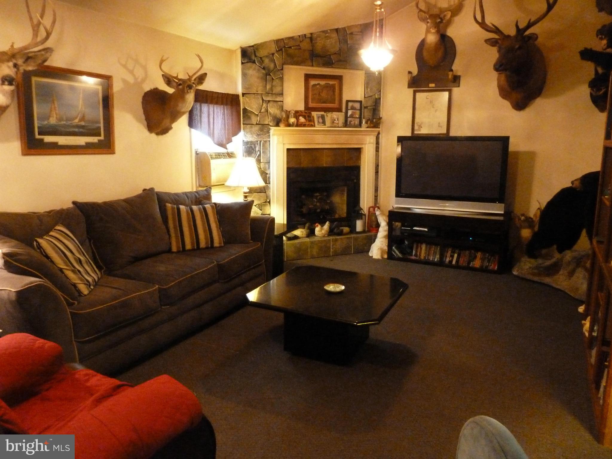 18510 Lappans Road Boonsboro, MD 21713 - Photo 7 of 24 Family Room