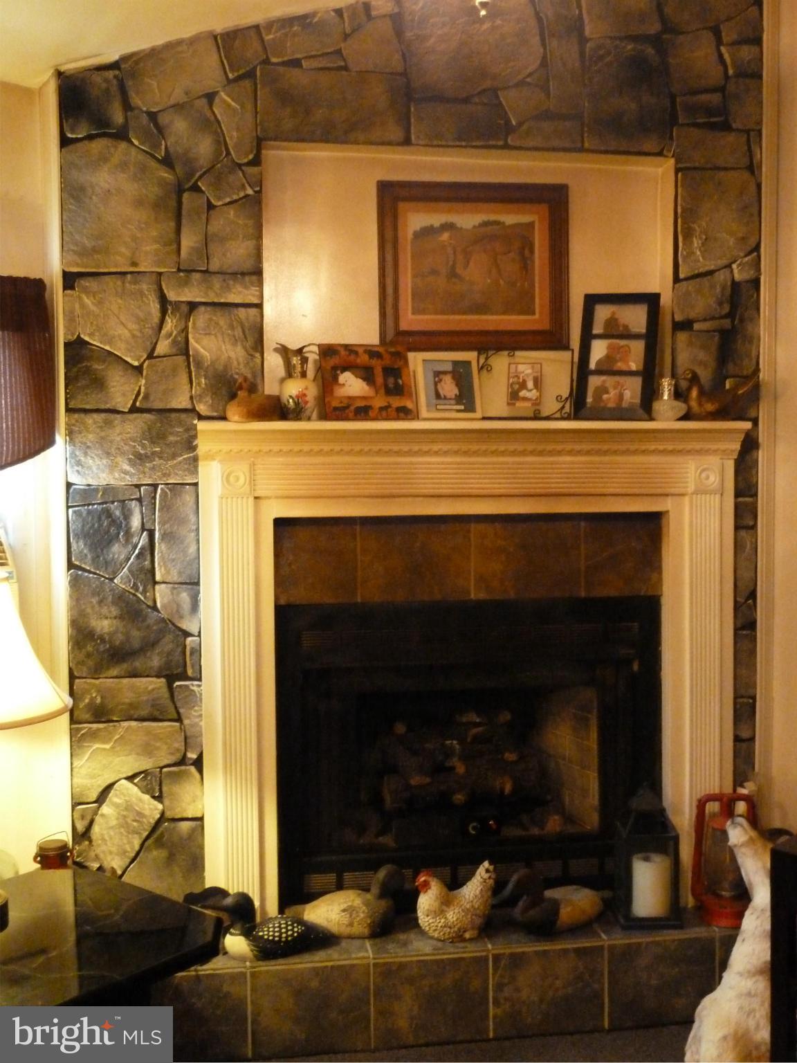 18510 Lappans Road Boonsboro, MD 21713 - Photo 8 of 24 Family Room