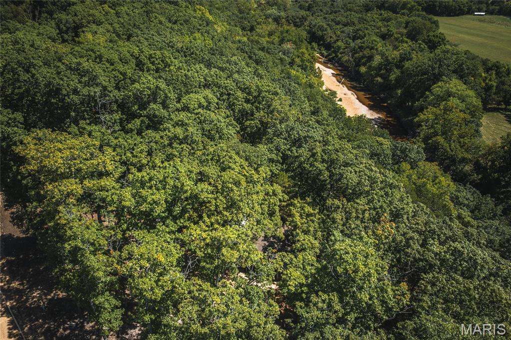 86 Klein Cut-Off Road Steelville, MO 65565 - Photo 1 of 33 Gallery Image 1