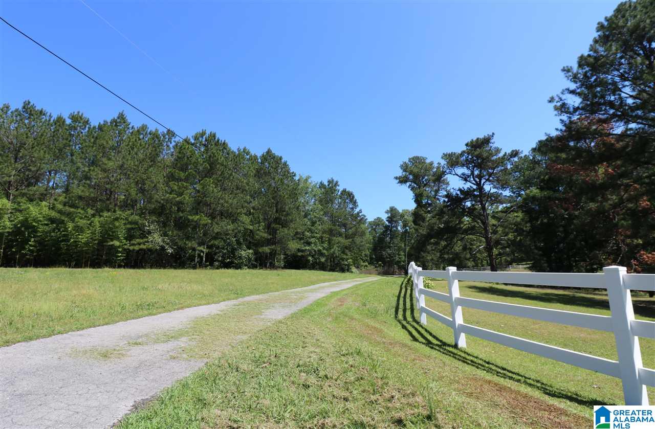 144 Rodeo Drive Pell City, AL 35128 - Photo 20 of 27