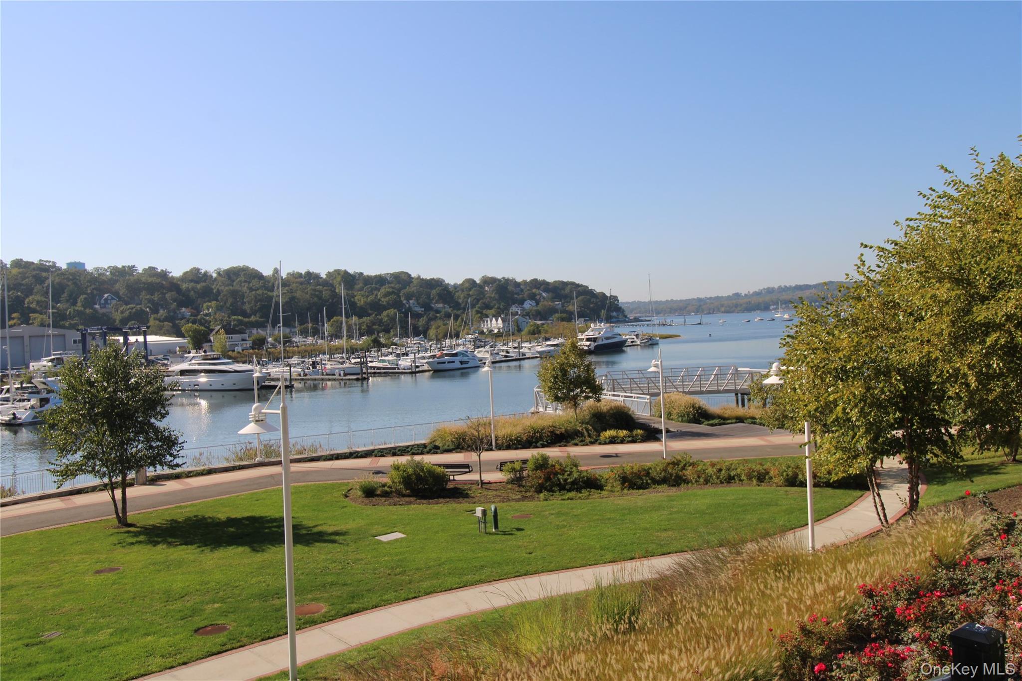 a view of lake with houses