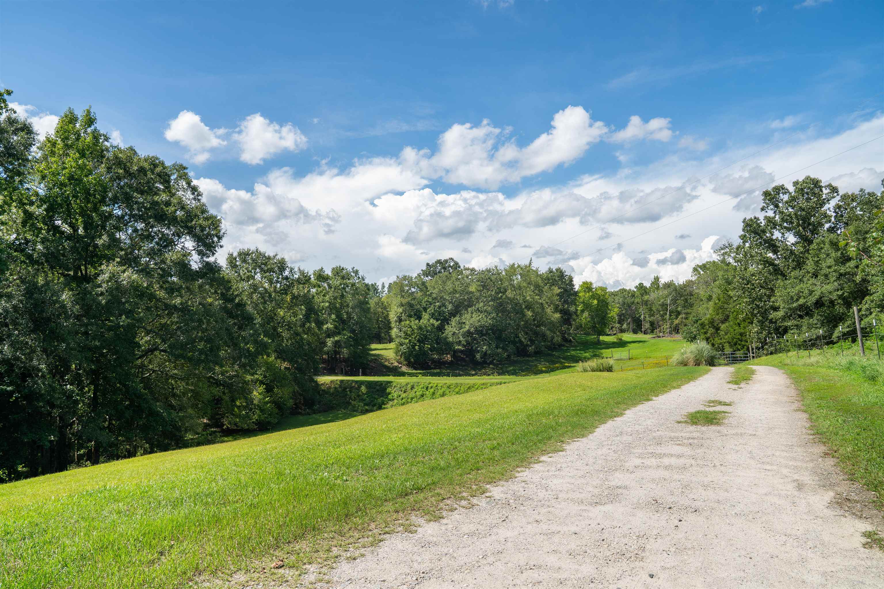 9089 Highway 56 Enoree, SC 29335 - Photo 38 of 39 Gallery Image 38