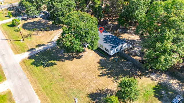 a view of a yard with plants and large trees