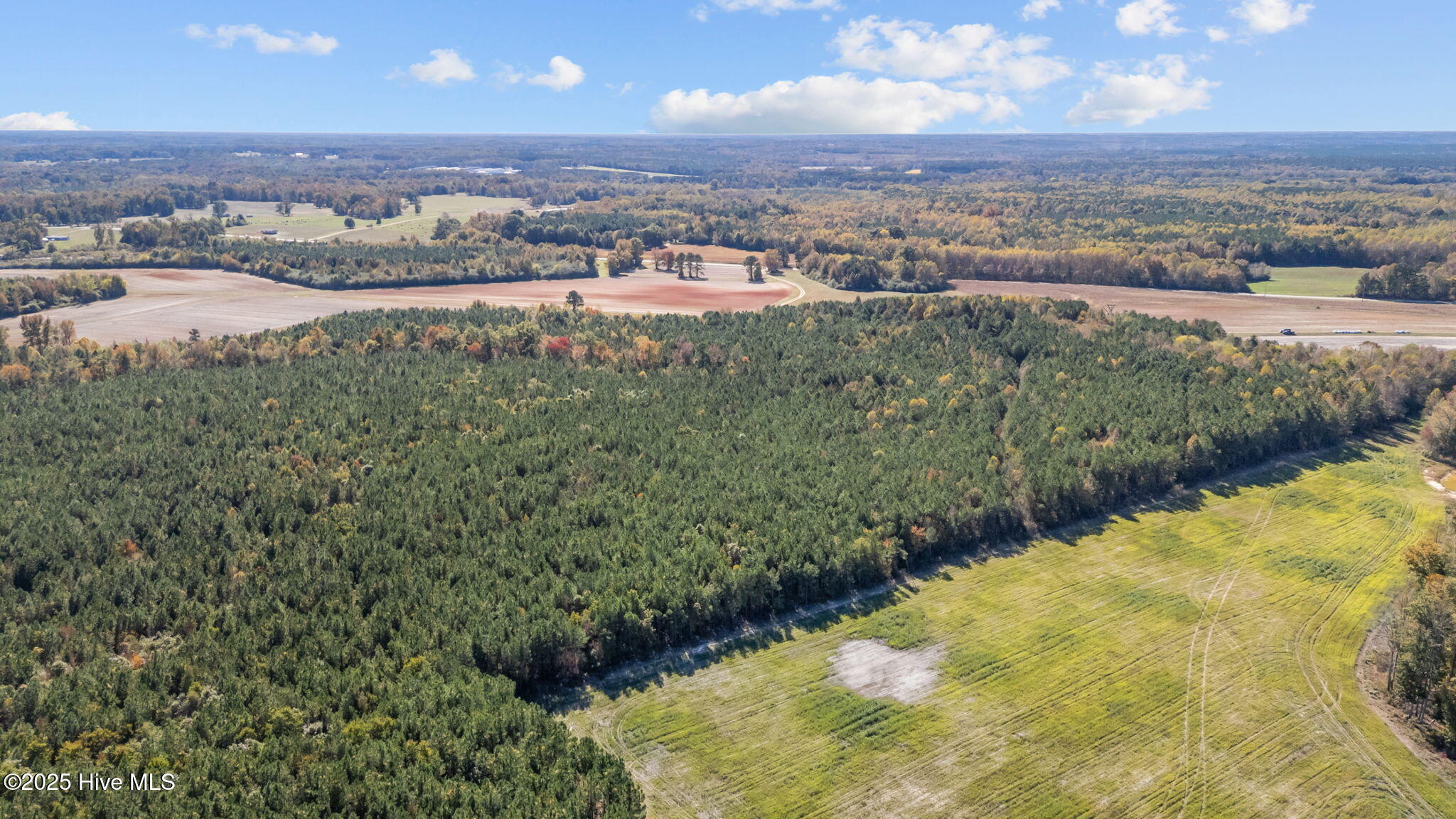 0 Nc 43 Whitakers, NC 27891 - Photo 12 of 17 12-web-or-mls-DJI_20251024135249_0351_D