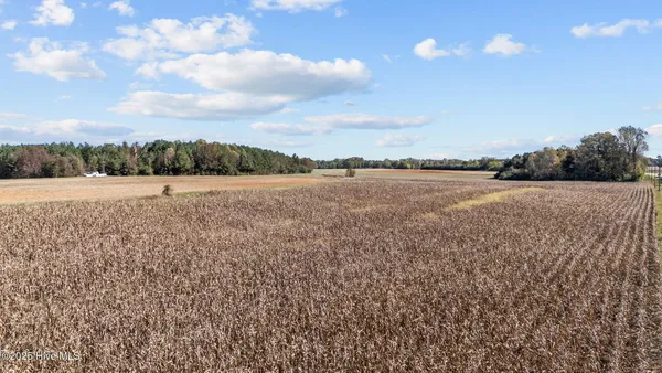 $649,900 | 0 Nc 43, Whitakers, NC 27891